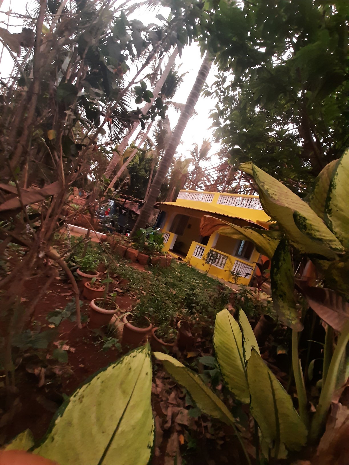 img/23/Margao (9).jpg